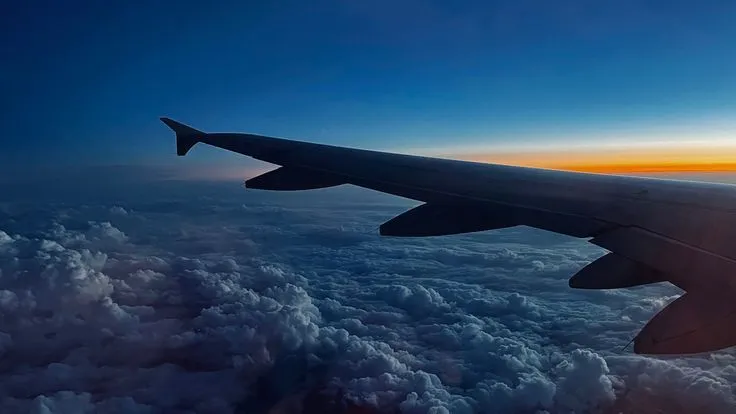 avion_ala
