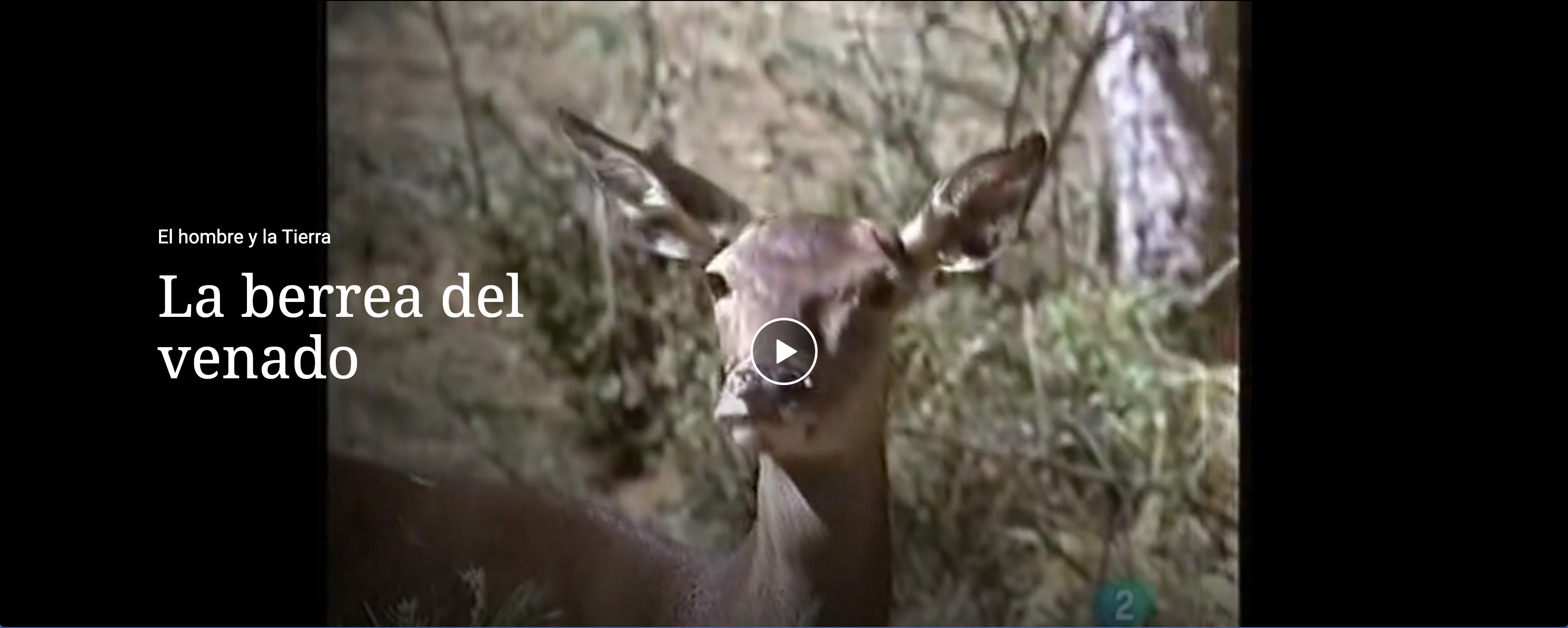 Previsualización del vídeo en la que se visualiza un venado.