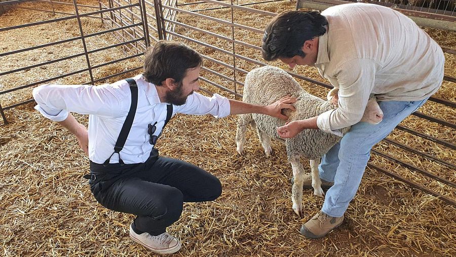 Oteyza supervisa lana