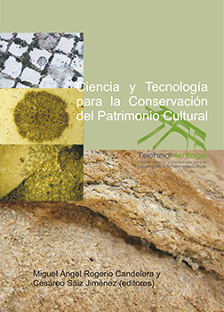 Portada del libro "Ciencia y tecnología para la conservación del patrimonio cultural"