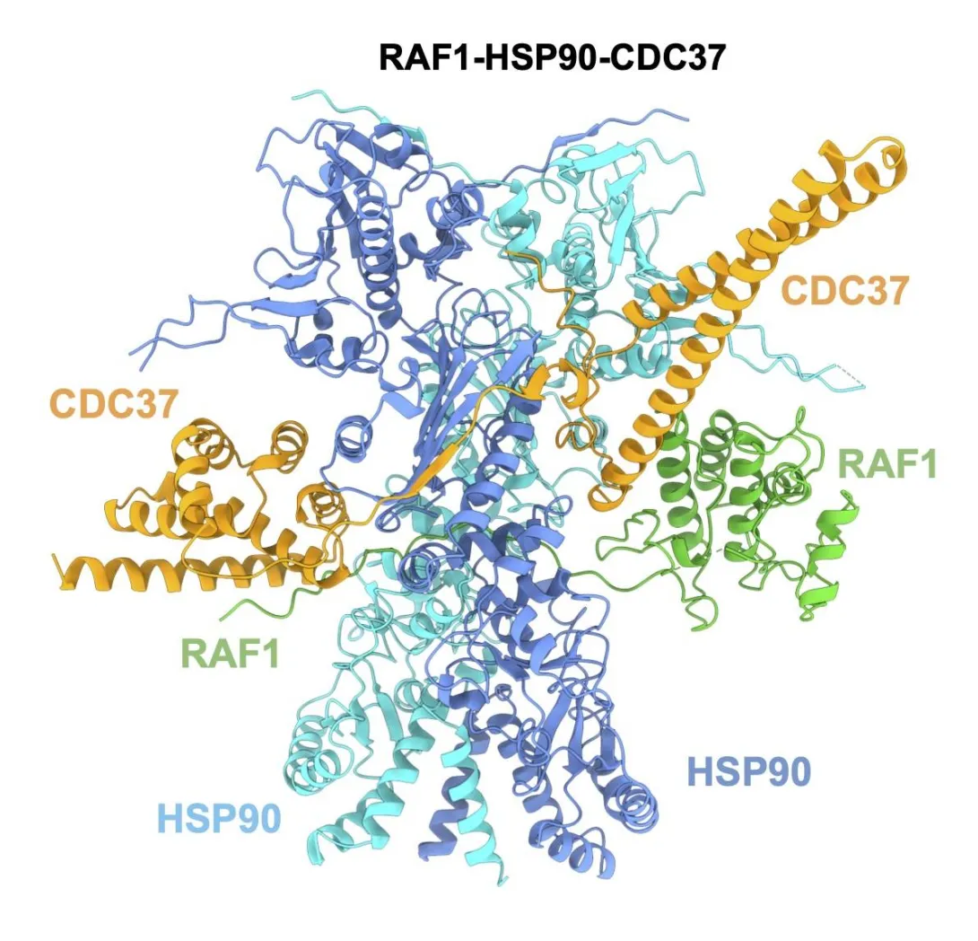 Imagen proteína