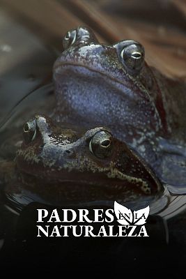 padres en la naturaleza portada