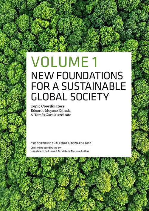 Imagen de la portada del libro New foundations for a sustainable global society